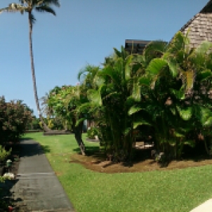 Hawaii vacation rental condo